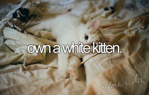 387421_338660379492013_200509983307054_1299924_69209790_n_large