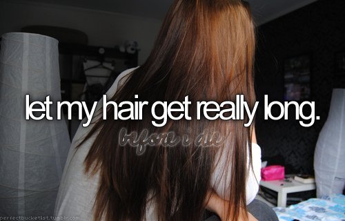 before-i-die-blog-brown-bucket-list-bucketlist-Favim.com-329718_large