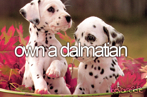 tumblr_m9uk29m7rF1rox3aao1_500