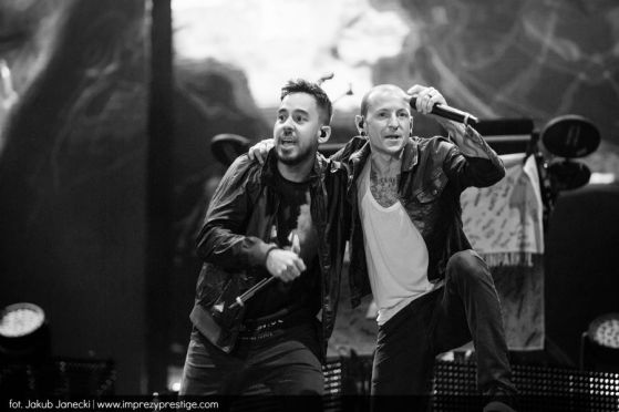 11902482_1053678761323388_727153669851637287_n