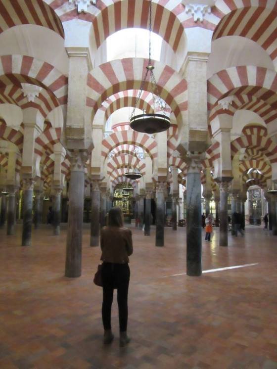 15284861_10211077970175567_8489999621977916855_n