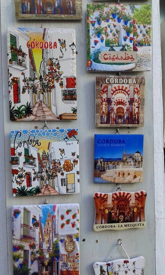 15979014_10211470767475254_2123196491_n